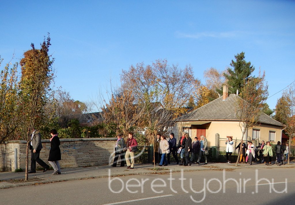 Tulipánfával a mellrák ellen 20